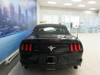FORD MUSTANG 2016 CONVERTIBLE V6 AUTOMATIQUE TOUT ÉQUIPÉ / BLUETOOTH / CAMÉRA DE RECUL / CRUISE CONT... (image 7)