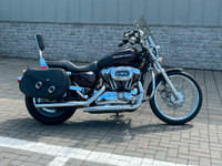 2007 Harley-Davidson Sportster Custom
