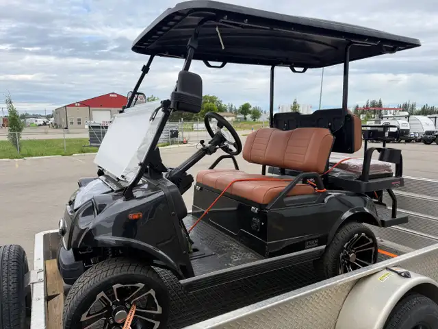 2025 HDK Golf Cart Classic 4+ in ATVs in St. Albert - Image 6
