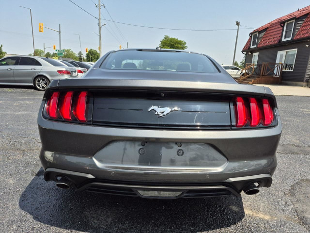 2019 Ford Mustang EcoBoost Premium Fastback in Cars & Trucks in London - Image 4