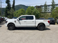 Ford Co-Pilot360 Assist 2.0, Wireless Charging Pad, 360-Degree Camera, Power Sliding Rear Window, Dy... (image 6)