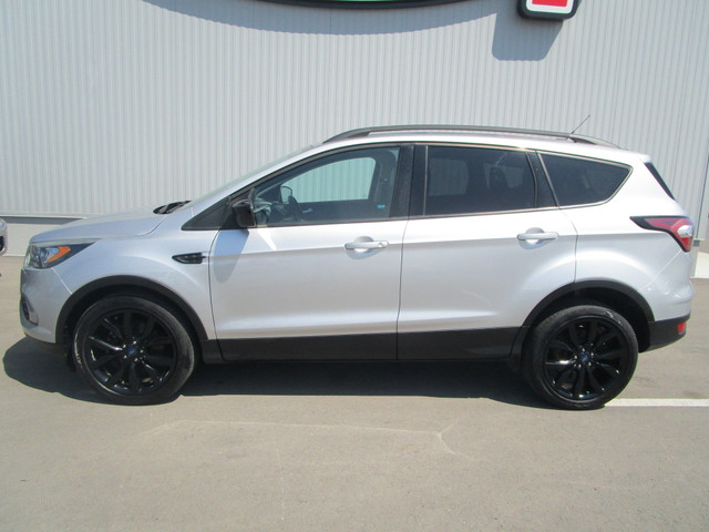 2017 Ford Escape SE STK# A19793 in Cars & Trucks in Calgary - Image 2