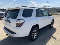 2024 Toyota 4Runner 4WD, 17" Aluminum Wheels, 4.0L V6 Gasoline Engine, 5-Speed Automatic Transmissio... (image 5)