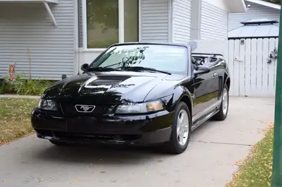 2001 Ford Mustang Basic