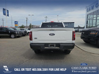 “AMVIC Licensed Dealership” (image 5)