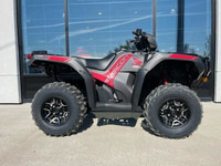 2024 Honda TRX 520 RUBICON DCT IRS EPS Deluxe edition