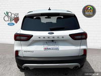 - ONE OWNER - ACCIDENT FREE - CLOTH SEATS - LANE KEEPING SYSTEM - PRE-COLLISION ASSIST w/ AEB - BLIS... (image 4)