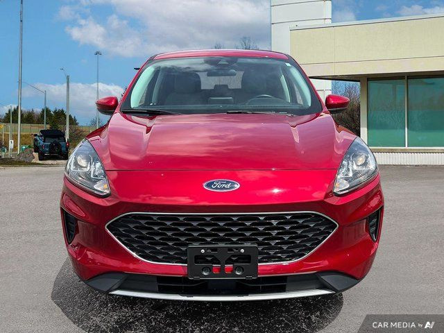 2021 Ford Escape SE in Cars & Trucks in Kitchener / Waterloo - Image 3
