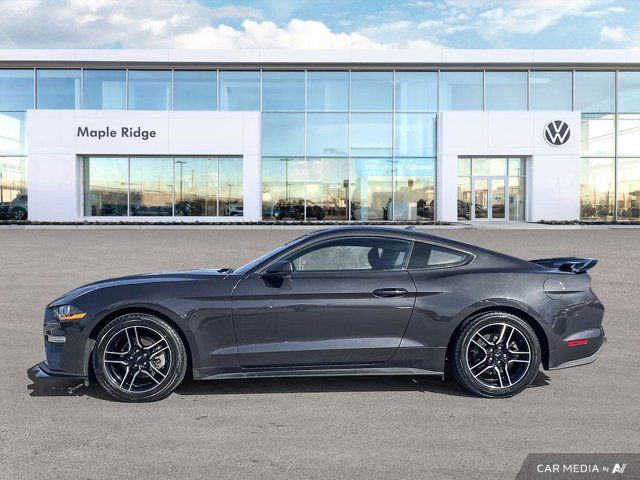 2023 Ford Mustang EcoBoost | One Owner | Blind Spot in Cars & Trucks in Tricities/Pitt/Maple - Image 2