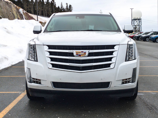 2019 Cadillac Escalade Premium Luxury in Cars & Trucks in St. John's - Image 2
