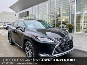 2021 Lexus RX Other