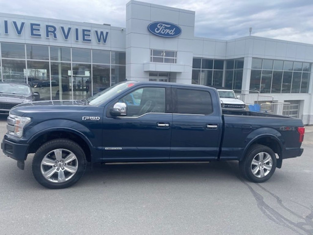  2019 Ford F-150 PLATINUM in Cars & Trucks in Fredericton