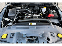 COME SEE WHY ''NOBODY BEATS A DEAL FROM PEEL!'' Your Source for ALL make and models used cars and tr... (image 8)