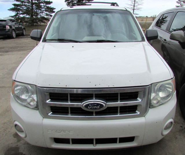 2010 Ford Escape XLT in Cars & Trucks in Calgary - Image 2