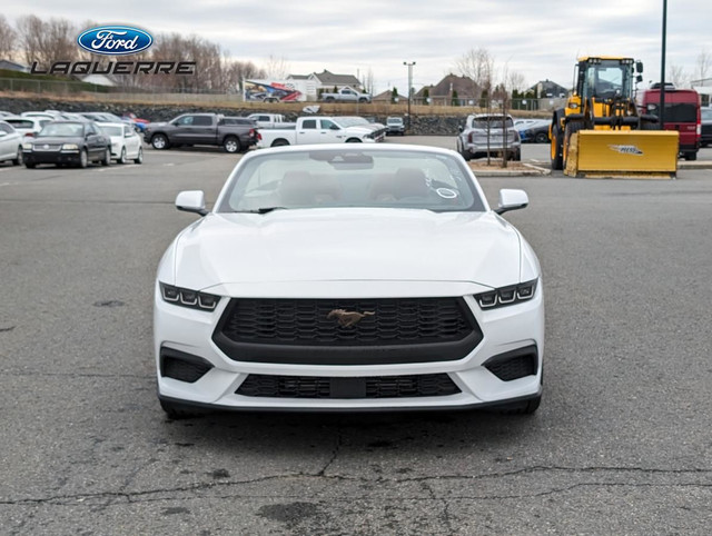 FORD MUSTANG ECOBOOST PREMIUM 2024 in Cars & Trucks in Victoriaville - Image 2