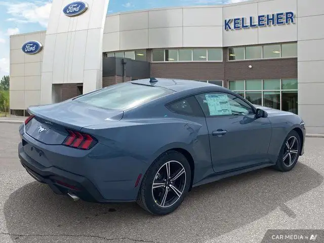 2025 Ford Mustang EcoBoost in Cars & Trucks in Brandon - Image 6