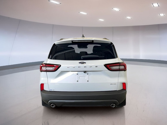 2025 Ford Escape ST-Line AWD in Cars & Trucks in Moose Jaw - Image 4
