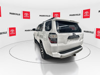 WAS: $48888 NOW: $48488 plus taxes and licensing feesThe 2021 Toyota 4Runner TRD Off-Road is a popul... (image 7)