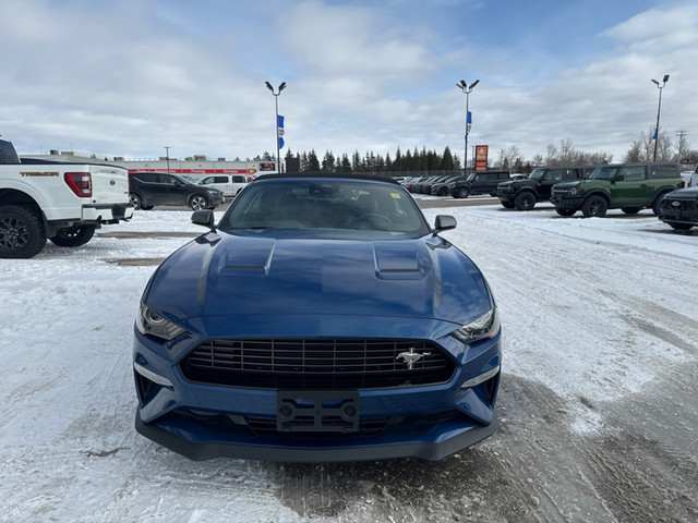 2022 Ford Mustang EcoBoost - Low Mileage in Cars & Trucks in Winnipeg - Image 3
