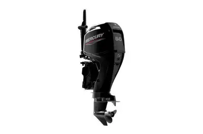 60HP TILLER WITH TRIM/TILT.WOULD BE PLUS PROP PDI INSTALLATION AND TAX.