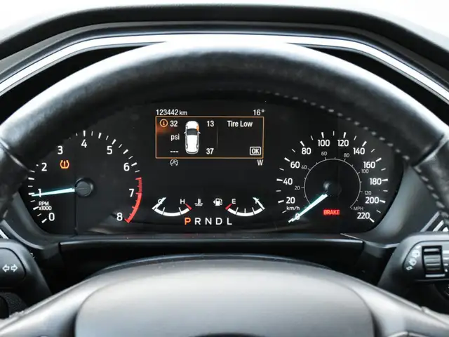 2020 Ford Escape SEL in Cars & Trucks in Kitchener / Waterloo - Image 19