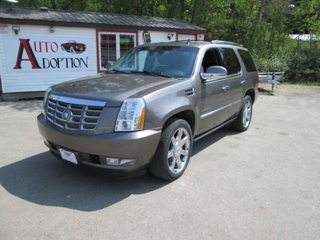 2012 Cadillac Escalade AWD Luxury in Cars & Trucks in Winnipeg