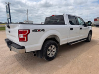 2020 Ford F-150 XLT Crew Cab 4x4 5.0L V8 for sale at Pacific Motors near, Winnipeg, MB CLEAN CARFAX-... (image 4)