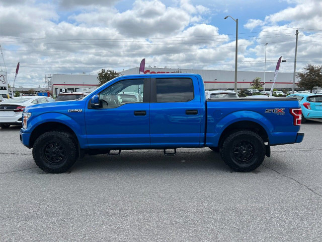 2019 Ford F-150 in Cars & Trucks in Ottawa - Image 2