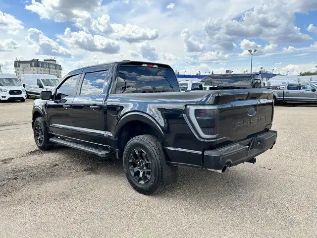 2024 Ford F-150 STX SuperCrew 145 | Rear Cam | Tow/Haul Pack in Cars & Trucks in Edmonton - Image 20