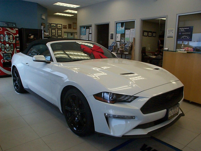 2019 Ford Mustang EcoBoost - Convertible - White in Cars & Trucks in Timmins