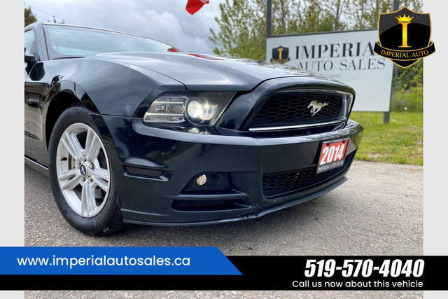 2014 Ford Mustang in Cars & Trucks in Kitchener / Waterloo - Image 3