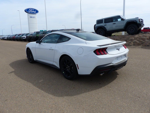 2025 Ford Mustang EcoBoost 101A in Cars & Trucks in Medicine Hat - Image 3