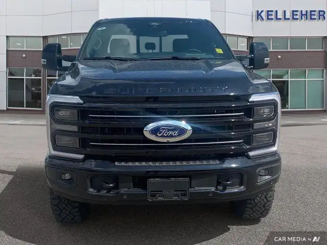 2025 Ford Super Duty F-350 SRW Platinum in Cars & Trucks in Brandon - Image 9