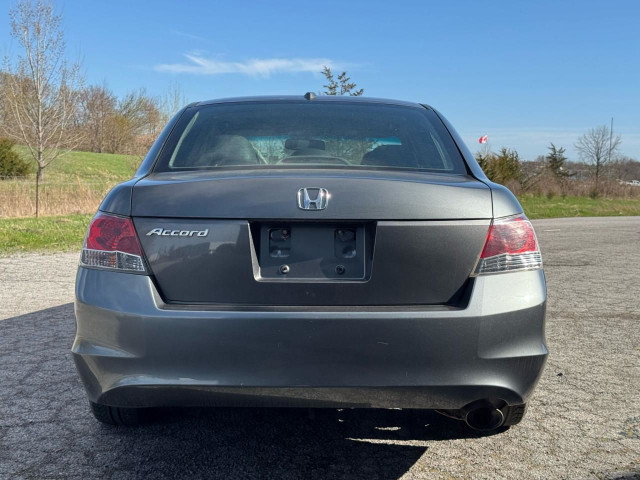 2010 Honda Accord EX-L | CLEAN CARFAX | LEATHER | SUNROOF | ALLO in Cars & Trucks in Trenton - Image 3