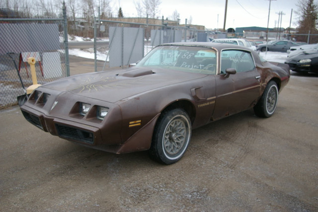 1979 Trans Am 301  4speed Hard-Top in Classic Cars in Edmonton - Image 3