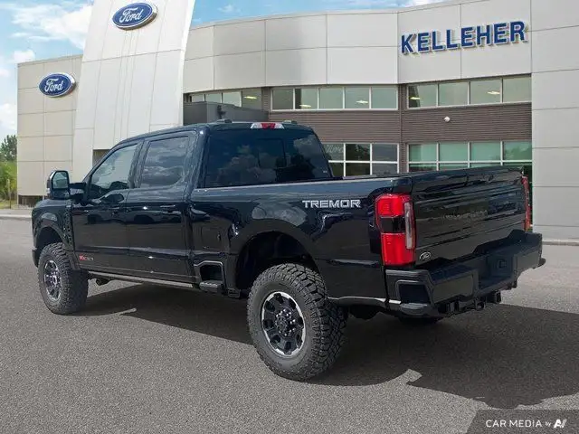 2025 Ford Super Duty F-350 SRW Platinum in Cars & Trucks in Brandon - Image 4