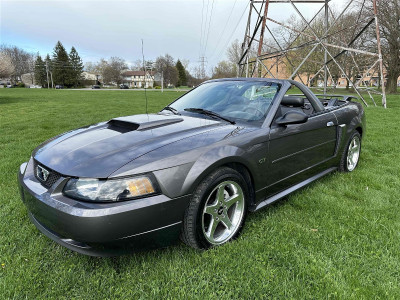 2003 Ford Mustang GT Deluxe