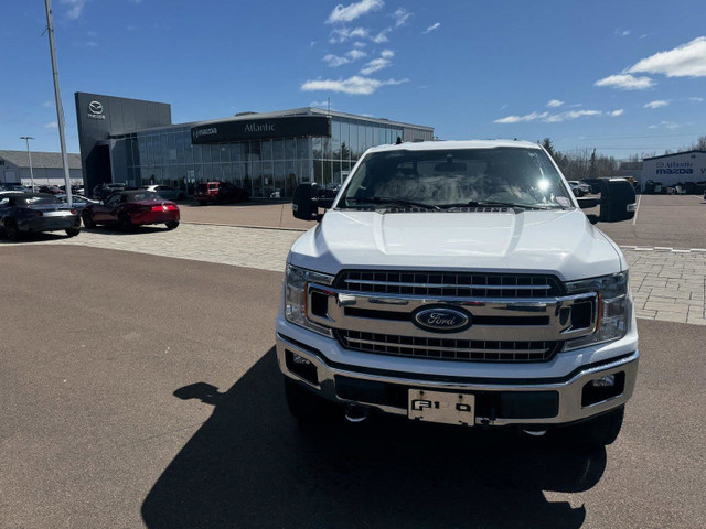2019 Ford F-150 XLT in Cars & Trucks in Moncton - Image 3