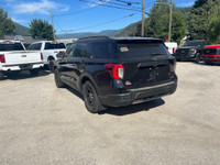 Twin Panel Moonroof, Rear Seat Entertainment System, Wireless Charging Pad, 360-Degree Camera, Steel... (image 5)