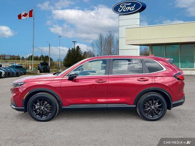 2025 Honda CR-V Hybrid EX-L in Cars & Trucks in Kitchener / Waterloo - Image 4