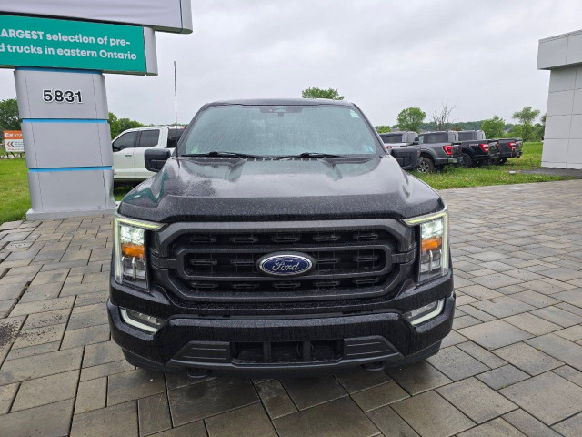 2022 Ford F-150 in Cars & Trucks in Ottawa - Image 2
