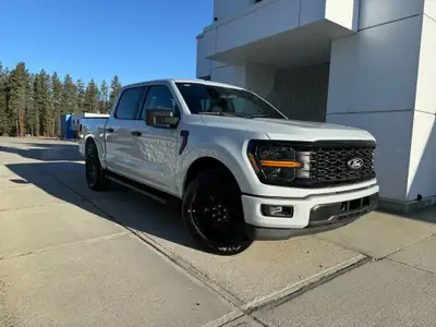 STX 2WD SuperCrew 5.5' Box Engine: 5.0L V8