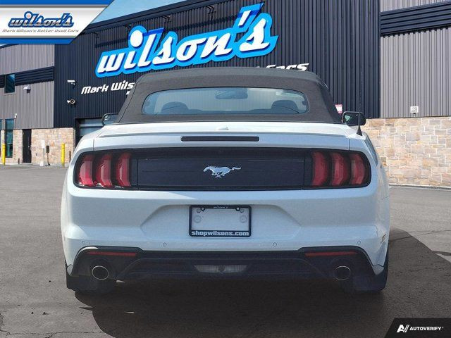2020 Ford Mustang EcoBoost Convertible - Wheel & Stripe PKG in Cars & Trucks in Guelph - Image 4
