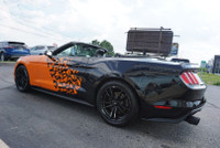 SAFETY INCLUDED LOCAL ONTARIO CAR Very Clean Ford Mustang Coupe 2.3L 4Cyl Eco Boost Convertible Prem... (image 9)