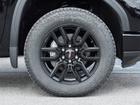6-Way MultiPro Tailgate | X31 Off-Road Pkg | Black Assist Steps | HD Surround Vision | Leather/ Heat... (image 3)
