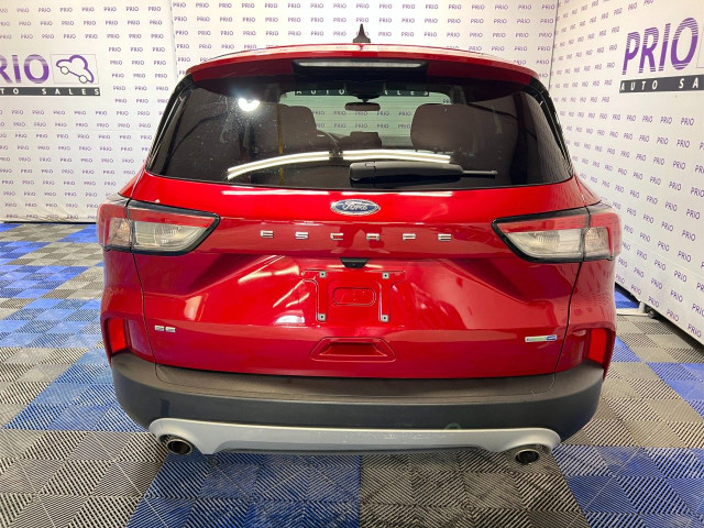 2020 Ford Escape in Cars & Trucks in Ottawa - Image 4