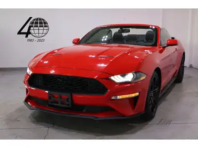 World Fine Cars 2019 Ford Mustang Ecoboost Premium Convertible finished in Red over black leather in...