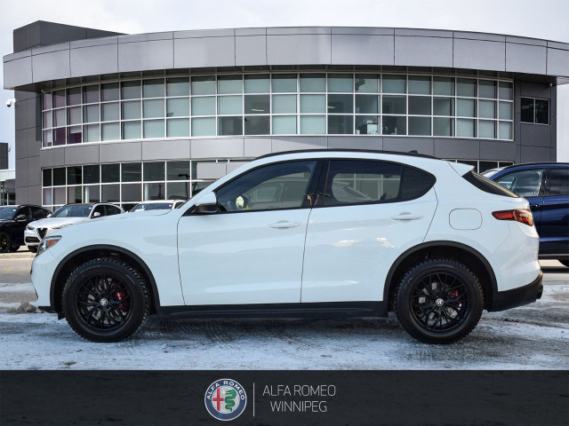 2022 Alfa Romeo Stelvio in Cars & Trucks in Winnipeg - Image 3