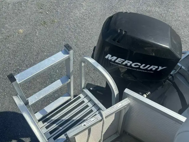 2006 Princecraft SPORTFISH in Powerboats & Motorboats in Québec City - Image 10