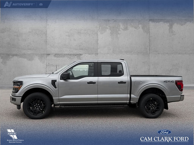 2025 Ford F-150 STX in Cars & Trucks in Red Deer - Image 4
